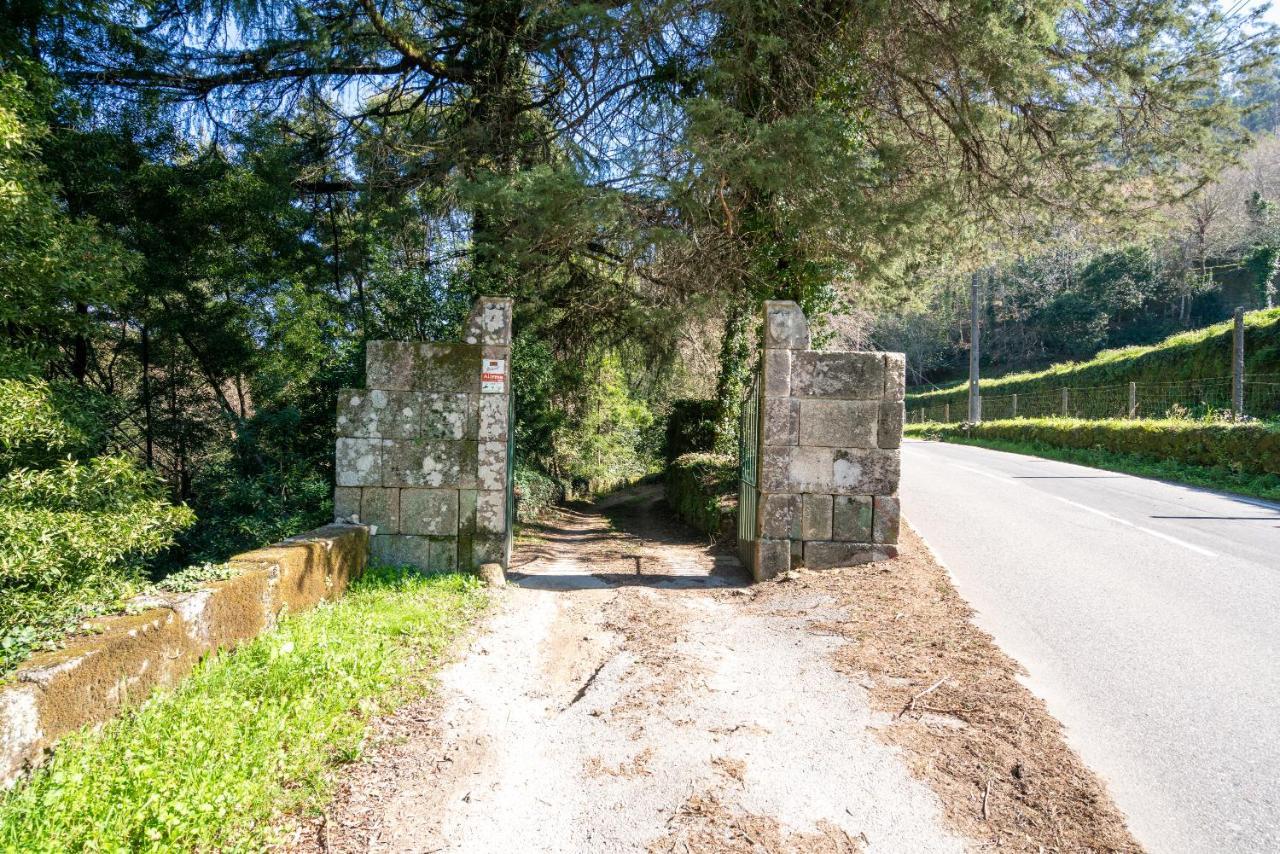 Quinta Das Lamas - Antiga Adega Vouzela Exteriér fotografie