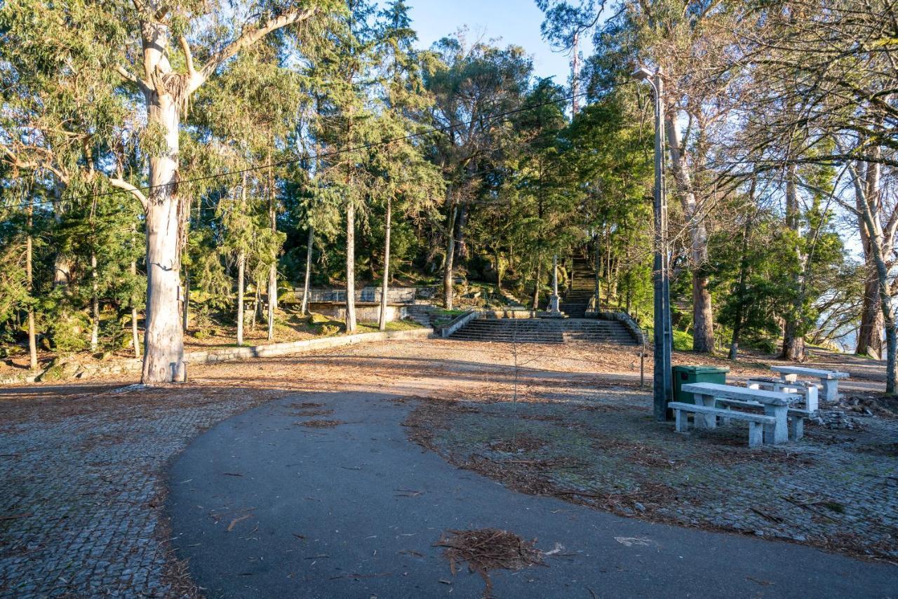 Quinta Das Lamas - Antiga Adega Vouzela Exteriér fotografie