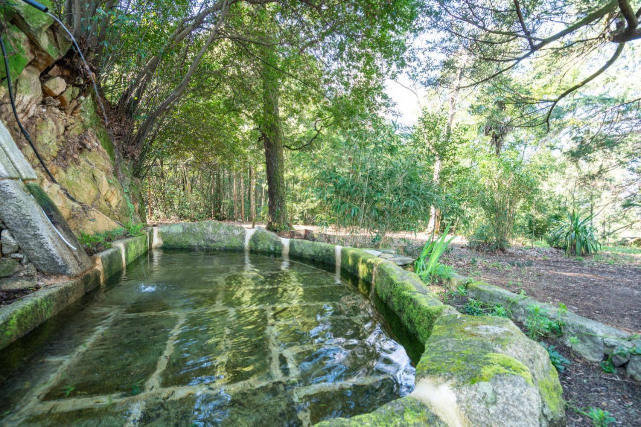 Quinta Das Lamas - Antiga Adega Vouzela Exteriér fotografie