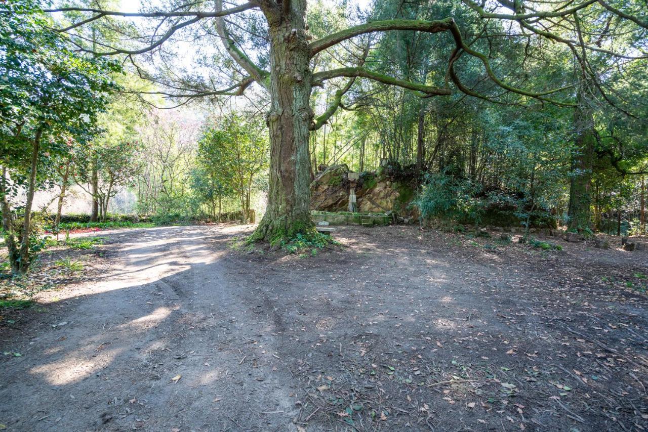 Quinta Das Lamas - Antiga Adega Vouzela Exteriér fotografie