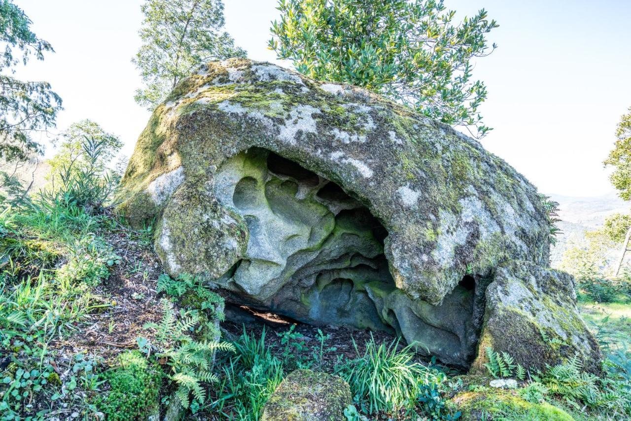 Quinta Das Lamas - Antiga Adega Vouzela Exteriér fotografie