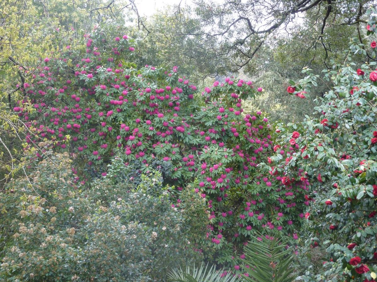 Quinta Das Lamas - Antiga Adega Vouzela Exteriér fotografie